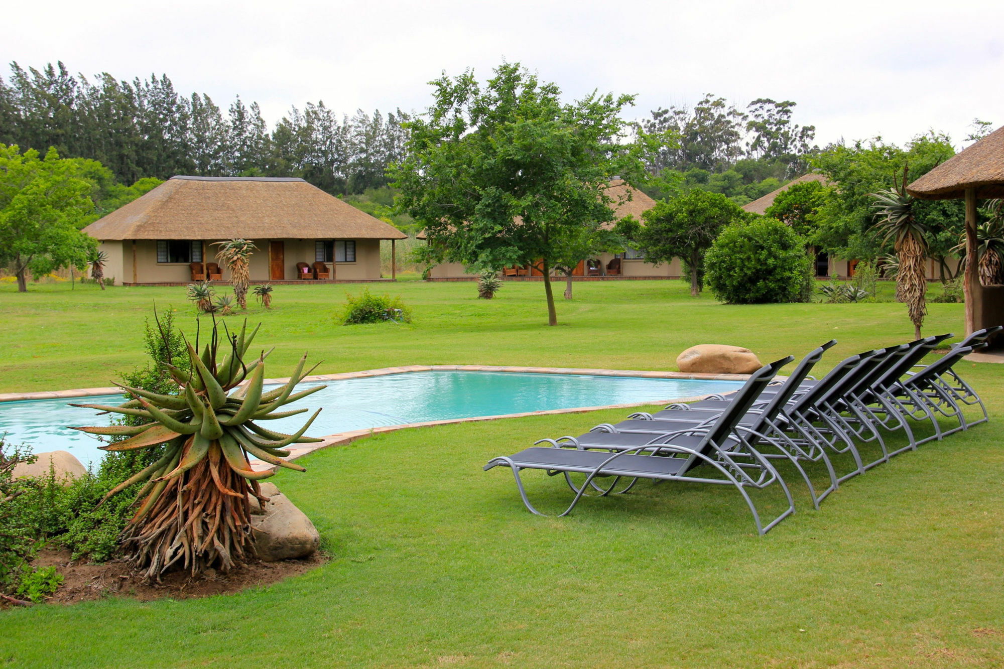 Chrislin African Lodge Addo Exterior foto